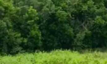 Imagem 6: Condominio de chacaras no interior de SP