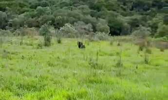 Imagem 2: TERRENO EM LOCALIZAÇÃO PRIVILEGIADA À VENDA!