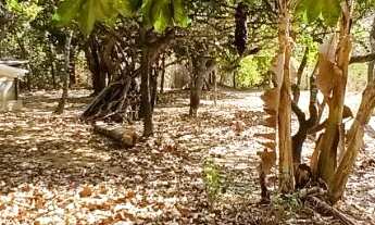 Imagem 4: Oportunidade! Chácara no Valparaíso