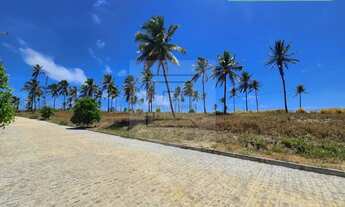 Imagem 4: Lote a venda em Maragogi - Barra Grande