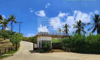 Imagem 2: Lote a venda em Maragogi - Barra Grande