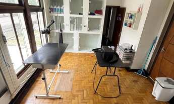 Imagem 3: VENDO PONTO CLINICA VETERINÁRIA E PET SHOP