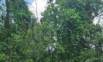 Imagem 7: Terreno à venda em Valinhos, Joapiranga, com 511 m²