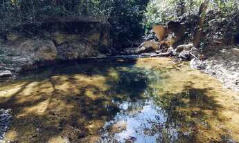 Imagem: Fazenda Planaltina 192 hectares pode ser