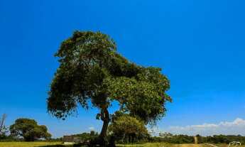 Imagem 3: Grande oportunidade, Lotes a partir 200m² ( Terra Bela )Ilha de Itaparica