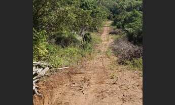 Imagem: Oportunidade. Diogo, Linha Verde, 591m²