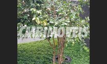 Imagem 7: Apartamento - Parque Prado - Campinas