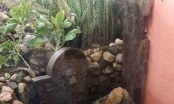 Imagem 5: Fazenda em Santos Dumont/MG de auto padrão para exigentes !!! 111 hectares