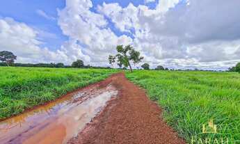Imagem: Fazenda à Venda no Município de Flores