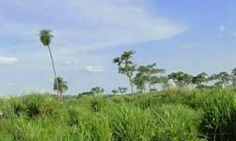 Imagem 5: Vendo Fazendo em Crato - AC