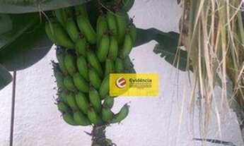 Imagem 7: Casa com 4 dormitórios à venda, 350 m² por R$ 1.250.000 - Vila Baeta Neves - São Bernardo