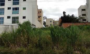 Imagem 3: Lote Bairro Cidade Nova. Cod. 064. Área 300 m², devidamente Registrado. Valor 180 mil