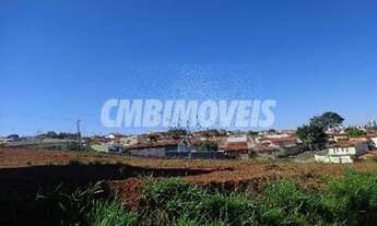 Imagem 6: área - Jardim Conceição - Campinas