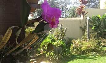 Imagem 6: Renove e se inspire no meio do verde