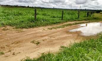 Imagem: 80 alqueires Castelo de Sonho-Pa