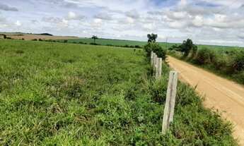 Imagem 3: 107 alqueires Guarantã do Norte- Mt