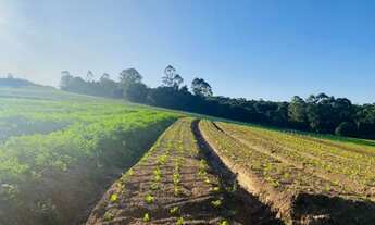 Imagem 2: Terrenos com vista pro Lago !Direto com o proprietário-Bp