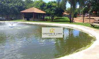 Imagem 5: Sítio todo em seringueira