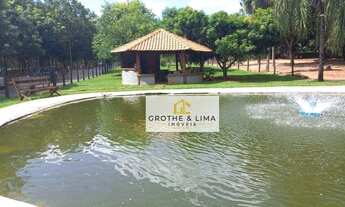 Imagem 4: Sítio todo em seringueira