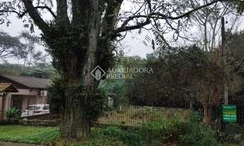 Imagem 7: NOVO HAMBURGO - Terreno Padrão - Centro