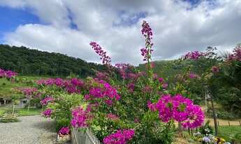 Imagem 4: Chácara com 2 dormitórios à venda, 1350 m² por R$ 375.000,00 - Centro - Luiz Alves/SC