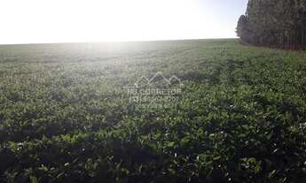 Imagem 4: Coromandel - Fazenda - Centro