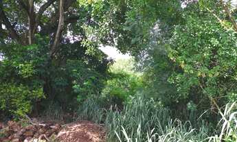 Imagem 3: TERRENO ENCONTRO DAS AGUAS