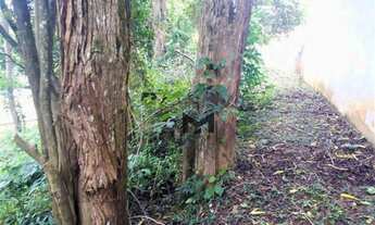 Imagem 3: Oportunidade! Terreno em Cond. Fechado, à venda, 330 m² por Só R$ 155.000 ,00! Várzea das