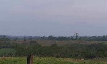 Imagem: 430 alqueires Monte verde-MT