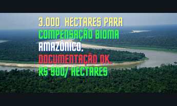 Imagem 3: 3.000 Hectares, área de compensação Ambiental Bioma Amazônico, Documentação Ok, Amazonas-A