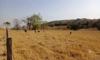 Imagem 4: Fazenda de 65 alqueires em Córrego do ouro-Go
