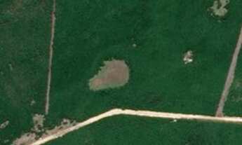 Imagem: 1246 hactares - Mostarda RS - cód 70