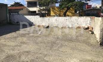 Imagem 4: Terreno - Cambuí - Campinas