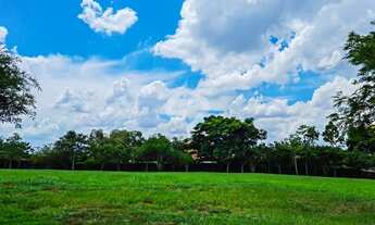 Imagem 2: Lote / Terreno incrível à venda na Fazenda da Grama / Praia da Grama com preço de ocasião