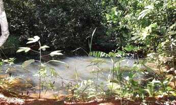 Imagem 6: Chácara de 1.700m² poço de peixe, toda cercada, São Jose do Almeida (Temos varias opções)