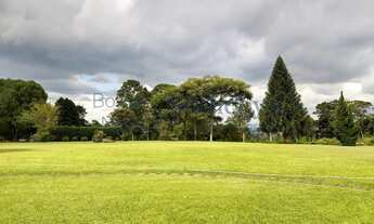 Imagem 4: Casa linear com amplo gramado