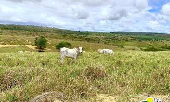 Imagem 3: Fazenda à Venda na Bahia Fazenda em Nova Itarana - BA