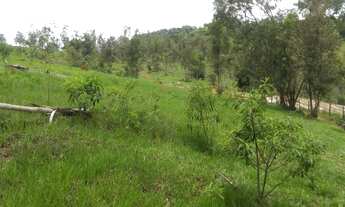 Imagem: Excelente Sítio de 3 Alqueires, Próximo