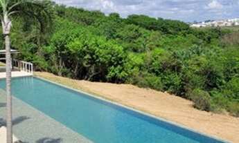 Imagem 2: Lote no YBY Natureza