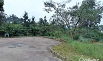 Imagem 5: PORTO ALEGRE - Terreno Padrão - Ipanema