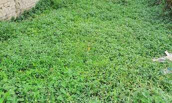 Imagem: Terreno 7x11 quitado e com escritura ok