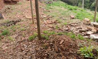 Imagem 4: Lote Campo do Pires