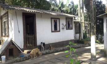 Imagem 3: Queiroz,/Chácara para venda possui 250 metros quadrados com 8 quartos