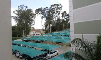 Imagem 1: Apartamento - Nova Europa - Campinas