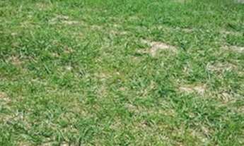 Imagem 3: Terreno Residencial à venda, Vila Rica, Sorocaba - TE0013