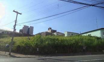 Imagem 4: área - Jardim do Trevo - Campinas