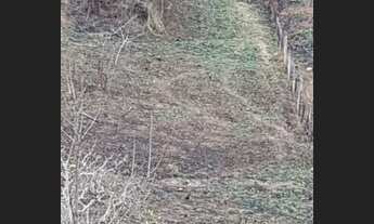 Imagem 3: 2235 REF ? Terreno à venda no Soledade