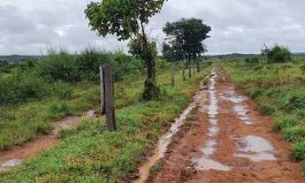 Imagem 3: 7.200 hectares Matupá- MT