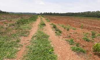 Imagem: 273 alqueires Guarantã do Norte - Mt