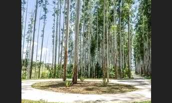 Imagem 3: Vendo Terreno de 450m² em Condominio Fechado